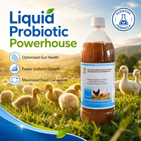 Solution Probiotique Complète pour Volailles Multi-Souches Vitamines A/C/D3 Oligo-éléments pour les Stades de Croissance et d'Élevage OEM Disponible