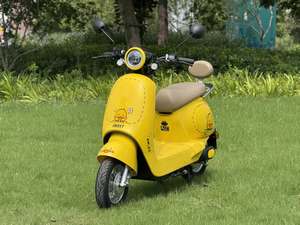 2026 dernière meilleure vente Type intelligent conception mignonne QQ chanceux petit canard jaune Scooter électrique pour jeune <span class=keywords><strong>femme</strong></span> <span class=keywords><strong>femme</strong></span> employé de bureau - Product Image 2
