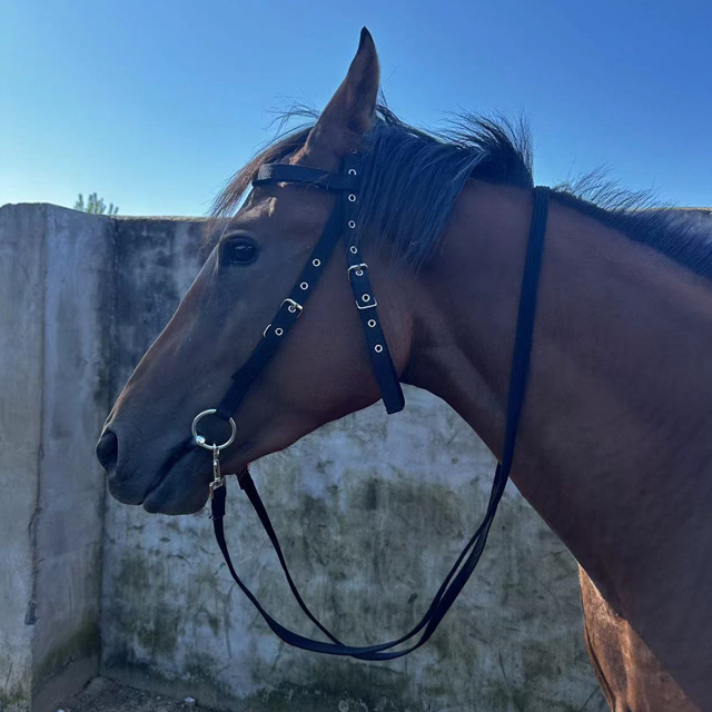 Custom Horse Halters Arabian Endurance Muzzle Rope Nylon and Lead Donating Mini Horse-halter-rope Headstall for Pet Personalized