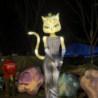 Lumières colorées sur le thème des chats et lanternes de festival pour Thanksgiving, décoration LED extérieure étanche pour parcs et installations artistiques