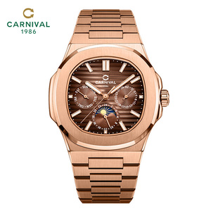 <span class=keywords><strong>Montre</strong></span> mécanique <span class=keywords><strong>automatique</strong></span> <span class=keywords><strong>de</strong></span> luxe pour homme CARNUIVAL, étanche 50m, bracelet en acier inoxydable, lumineuse, tendance, affaires, nouveauté - Product Image 1