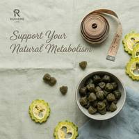 Gummies au melon amer pur, à base de plantes, sans OGM, sans sucre, fabriquées en usine OEM