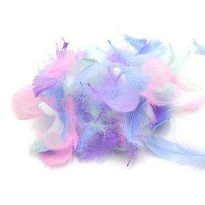 OEM Bulk Colorful Feather Fluff, Goose Feathers for Gift <b>Box</b> Filling, <b>Wedding</b> Decorations, Modern Craft Supplies - Product Image 5