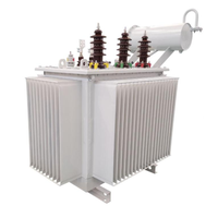 Transformateur de puissance de distribution 300kva 600kva 750kva 2500kva 500kva 22kv pour l'Europe