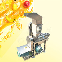 Automatische sinaasappel/appel/druif/gember sapmachine industriële koudpers extractor machine fruitsapmachine