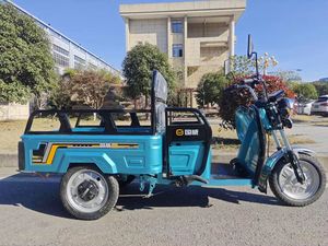 2025 hiệu suất cao guowei điện ba bánh Chaolong cho giao thông vận tải và hành khách mang trong Trung Quốc - Product Image 5