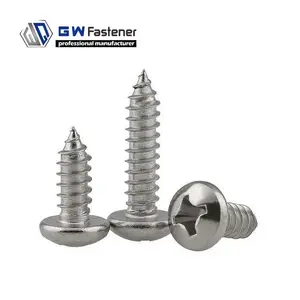 #6 #8 #10 #12 Rvs 304 Pan Head Tapping Screw Plaatwerk Schroef Din 7981 zelftappende Schroef