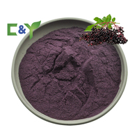 Pasokan Pabrik Ekstrak Buah Elderberry Hitam Alami Ekstrak Elderberry Bubuk Elderberry