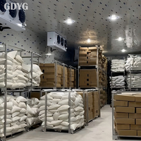 Gingembre surgelé IQF : conserve l'arôme épicé naturel et les nutriments du gingembre, approvisionnement direct usine avec qualité stable/prix compétitifs