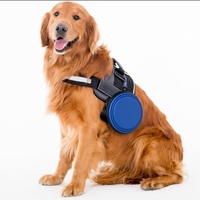 Bol de voyage pliable pour animaux de compagnie, bol à eau pour chien extensible en silicone de qualité alimentaire, portable avec crochet pour les voyages en plein air