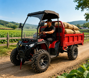 Véhicule utilitaire tout-terrain 4x4 UTV 300cc avec benne basculante de 1,8 m, à essence, pour adultes, <span class=keywords><strong>prix</strong></span> <span class=keywords><strong>d</strong></span>'usine OEM - Product Image 2
