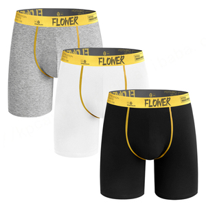 Ropa interior para hombre, Calzoncillos Bóxer largos con logotipo personalizado, pantalones cortos con cintura elástica y letras de algodón transpirable para hombre, Calzoncillos Bóxer - Product Image 5