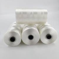 Fil de pêche blanc en nylon/polyester 210D, haute résistance, écologique, résistant à l'abrasion, 3-4 brins, vente chaude en Chine, directement de l'usine