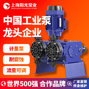 ปั๊มสูบจ่ายสารเคมีแบบไดอะแฟรม รุ่น DJ-X2 ของ Shanghai Sunshine Pump Industry ความจุ 480 ลิตร/ชั่วโมง ปั๊มจ่ายสารเคมีแรงดันสูง - Product Image 2