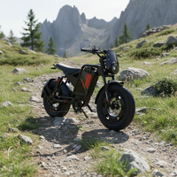 Prix de gros Vélos électriques à batterie au lithium 48V Vélo à pneus larges de 20 pouces pour adultes Vélo de montagne étanche