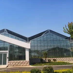 中国工厂批发自动多跨度玻璃罩温室出售