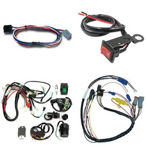 OEM ODM Moped Engine Ignition Coil Harness ECU Cable Assembly Universal Automotive Wiring Harnesses