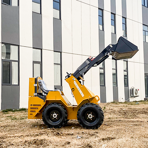 <span class=keywords><strong>Magnifique</strong></span> mini-chargeur homologué Euro 5 de 900 kg, l'apogée de la durabilité et de la puissance - Product Image 2