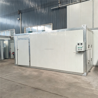 Hoge Efficiëntie Fruitdroger Automatische Temperatuurregeling Warmtepompdroger voor Mango, Ananas en Appel