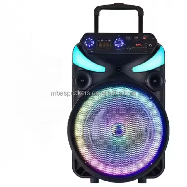 Portable 15-Inch Karaoke Boombox Speaker Subwoofer Bass for 5.3 RGB LED Lighting 2 Microphones Wireless WiFi Communication