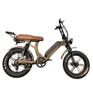 Meist verkauftes elektrisches Rennrad mit 500W 750W 1000W Naben motor und voll gefedertem E-Bike mit fettem Reifen reifen