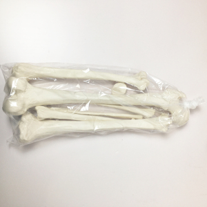 Hôpital médical PVC école enseignement désarticulé corps humain entier dispersé os anatomie <span class=keywords><strong>squelette</strong></span> modèle avec crâne en 3 parties - Product Image 5