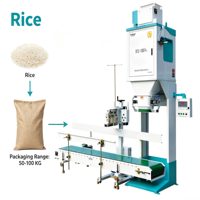 Machine d'emballage manuelle pour sacs de riz Ewinall DCS-100FA1 50-100kg avec pesage à trois capteurs, couture automatique et thermoscellage haute précision