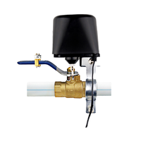 Contrôleur de vanne d'eau intelligent Tuya 2026, technologie WiFi Zigbee, prend en charge la commande vocale à distance, compatible UE/US, pour une utilisation intelligente à la maison