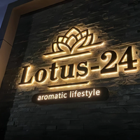 Logo Dinding 3D Kustom dari Logam dengan Lampu LED, Tanda Huruf LED Kustom, Tanda Logo Akrilik dengan Lampu LED