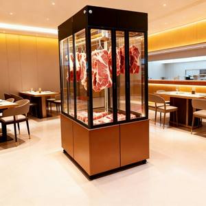 Large gamme d'utilisations pour les réfrigérateurs de présentation de viande, les réfrigérateurs Delli et les réfrigérateurs de service alimentaire - Product Image 6