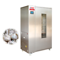 Energy saving 100% equipment machine for processing and drying garlic
