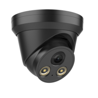 Caméra IP de surveillance Vikylin Black Pg2383c-B 8MP IR 30m Full Color Smart Ai Detection Fixed Dome H.265 IP 67 PoE