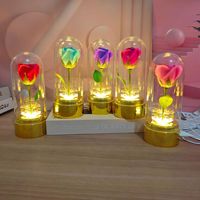 Lampe rotative en forme de rose avec lumières LED, rechargeable par USB, dôme en verre, veilleuse florale pour accessoires de décoration esthétique