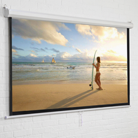 Écran de projection manuel 4K HD sur mesure en tissu blanc mat pour montage mural