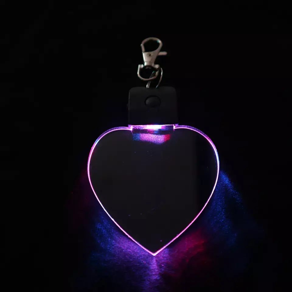 थोक लाइव पशु ग्लास क्रिस्टल खाली एक्रिलिक कीरिंग चाबी का गुच्छा 3d प्रभाव का नेतृत्व किया आरजीबी रंग चमकती के साथ के लिए व्यक्तिगत डिजाइन