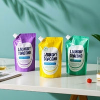 Support en plastique recyclable Doypack savon liquide 150ml 250ml 500ml 32 FlOz savon pour les mains et détergent à lessive avec bec verseur pour masques faciaux