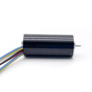 Oem Micro Kleine Tt Custom Hoge Snelheid Rpm 16Mm 1636 12V Bldc Motor 24V Borstelloze Gelijkstroommotor