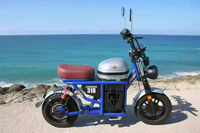 Klasik Retro Şişman Lastikli Elektrikli Bisiklet Geniş Kalın Lastikler Konforlu Şık E-Bisiklet Yeni Enerji E-Scooter Fabrika Direkt Tedarik