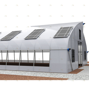 Khu vực nhiệt đới nông nghiệp trồng thủy canh đường hầm hàng đầu Vent sawtooth nhà kính cho rau - Product Image 6