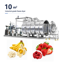 Machine de lyophilisation industrielle Huchuan pour la transformation alimentaire, grande capacité, acier inoxydable SUS304, commande PLC, chauffage au gaz