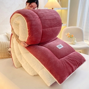 Giá Tốt Nhất Sang Trọng Mô Hình Polyester Comforter Ấm Mềm Mùa Đông Dày Giường Chăn Chăn Chăn - Product Image 6