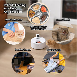 Custom Smart 5 Meals Pet Alimentador de Alimentos Molhados WIFI APP Câmera De Controle <span class=keywords><strong>Cat</strong></span> Wet <span class=keywords><strong>Food</strong></span> Dispenser Anti-jamming Alimentador Automático Do Gato Do Cão - Product Image 4