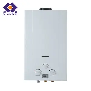 Golden Supplier Custom Domestic Gas Water Heater LPG NG Gas Boiler Production Factory