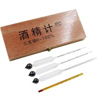 Hydromètre 0-100% pour alcool, détecteur d'alcool, outil de mesure d'alcool, hydromètre à vin, ensemble de bar