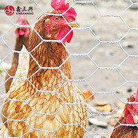 Clôture de volaille en treillis métallique hexagonal compétitif à prix réduit grillage de poulet à vendre filet de clôture de poulailler