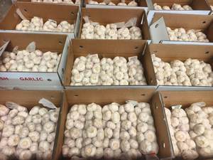 <span class=keywords><strong>Ail</strong></span> blanc pur frais de qualité supérieure en gros, <span class=keywords><strong>ail</strong></span> blanc normal frais, prix par tonne - Product Image 2