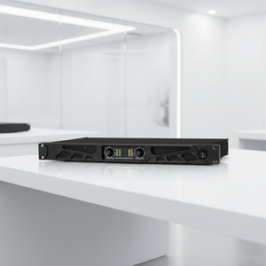 Новый хит продаж: 1U 2*2500 Вт цифровой усилитель класса D, 2-канальная стереосистема с 5-полосным параметрическим эквалайзером и голосовым управлением - Product Image 5