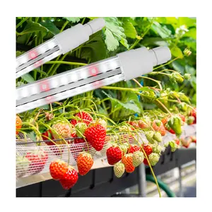 Tube de lumière de culture à LED pour les plantes de serre de ferme verticale étanche IP65 Spectre complet pour les légumes, les fruits et les herbes.
