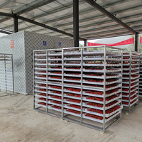 Automatische PLC-gestuurde droogmachine voor chilipepers, komijn, venkel, kardemom, kurkuma en specerijen