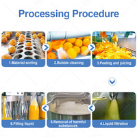 HNOC Gas Fresh Wortelsap Productiefaciliteit Kleinschalige Apparatuur voor de Verwerking van Fruitsap